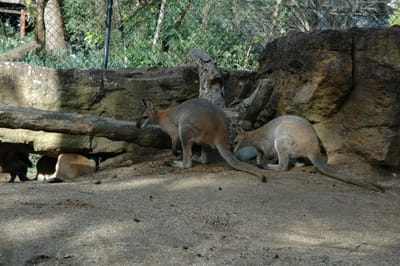 DSC_3369.JPG