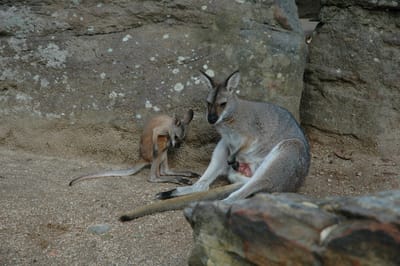 DSC_3370.JPG