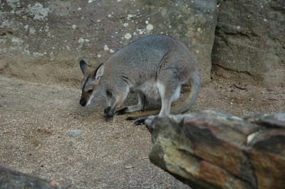 DSC_3371.JPG