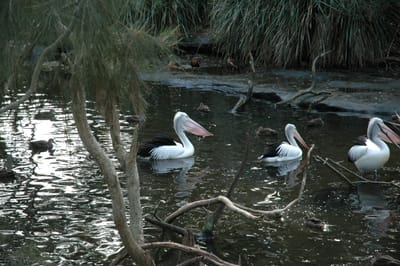 DSC_3375.JPG