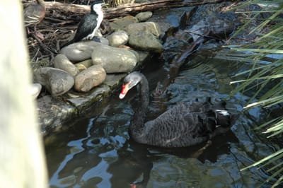 DSC_3377.JPG