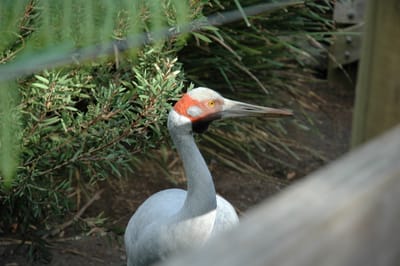 DSC_3378.JPG