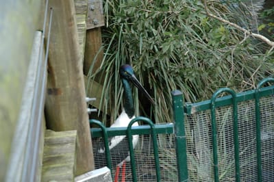 DSC_3381.JPG