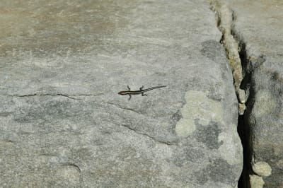 DSC_3408.JPG