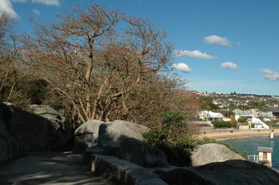 DSC_3413.JPG