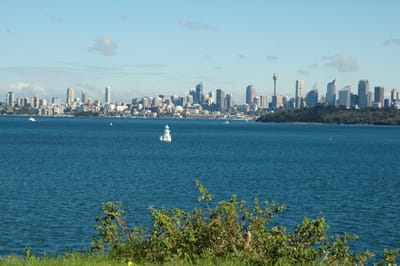 DSC_3414.JPG