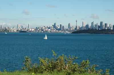 DSC_3415.JPG