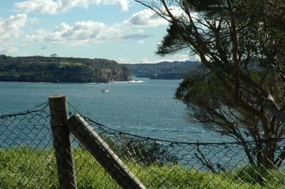 DSC_3416.JPG