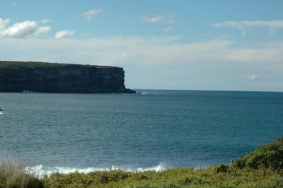 DSC_3421.JPG