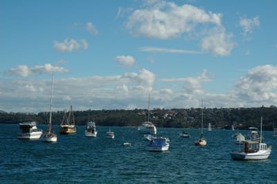 DSC_3442.JPG