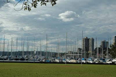DSC_3445.JPG