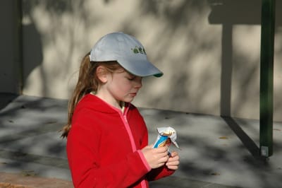 DSC_3449.JPG