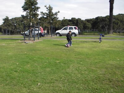 IMGP0056.JPG