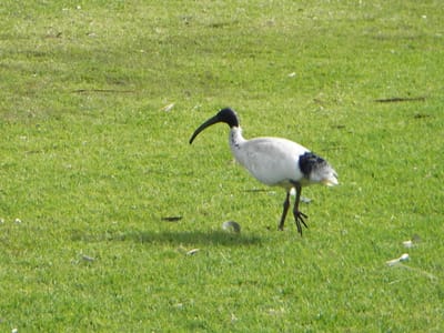 IMGP0059.JPG
