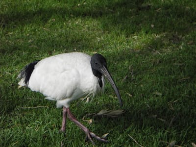 IMGP0060.JPG