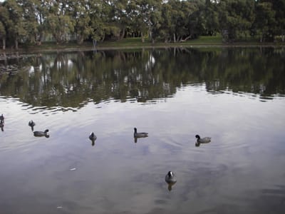 IMGP0063.JPG