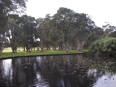 IMGP0065.JPG
