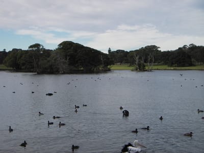 IMGP0073.JPG