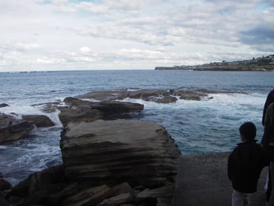 IMGP0092.JPG