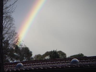 IMGP0099.JPG