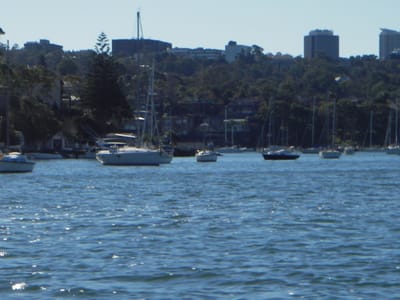 IMGP0105.JPG