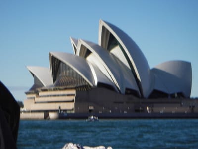 IMGP0114.JPG