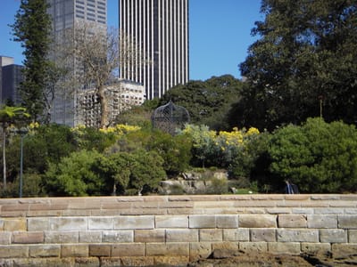 IMGP0121.JPG