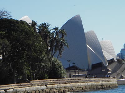 IMGP0126.JPG