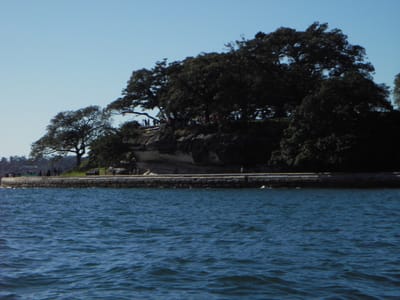 IMGP0127.JPG