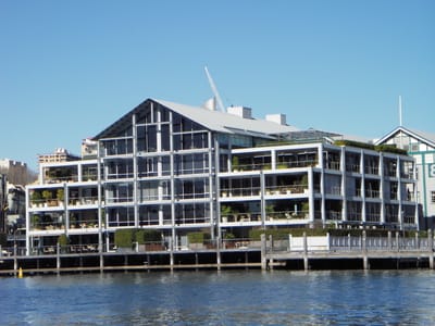 IMGP0131.JPG