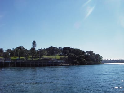 IMGP0138.JPG
