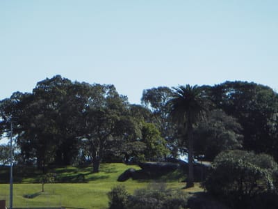 IMGP0139.JPG