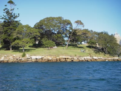 IMGP0142.JPG