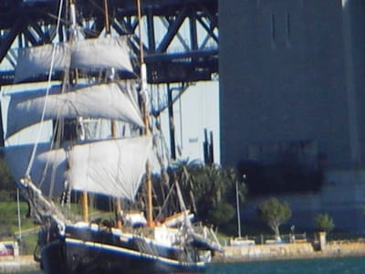 IMGP0144.JPG