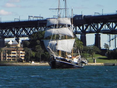 IMGP0145.JPG