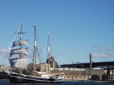 IMGP0146.JPG