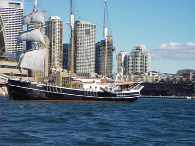 IMGP0147.JPG