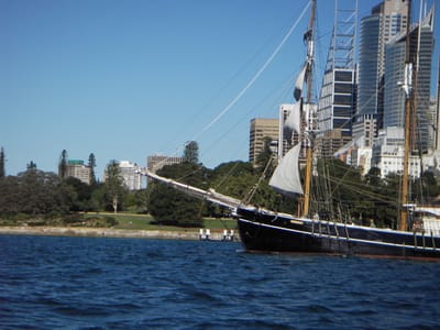 IMGP0150.JPG