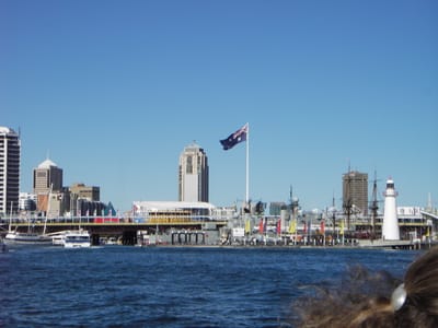 IMGP0154.JPG