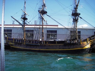 IMGP0157.JPG