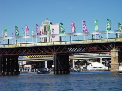 IMGP0166.JPG