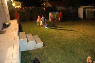 DSC_3536.JPG