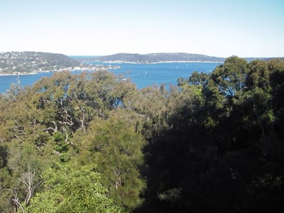 IMGP0193.JPG