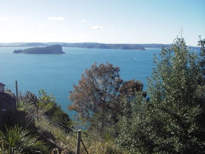 IMGP0197.JPG