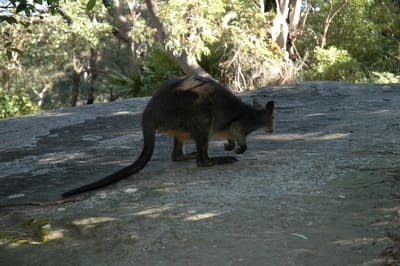 DSC_3562.JPG
