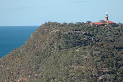 DSC_3572.JPG