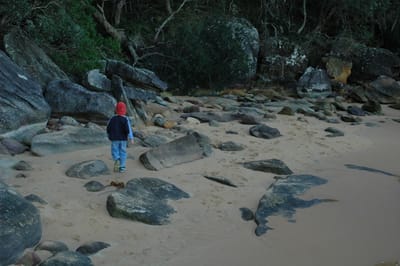 DSC_3594.JPG