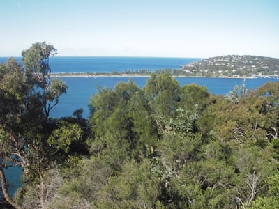 IMGP0194.JPG