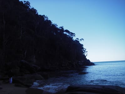 IMGP0201.JPG