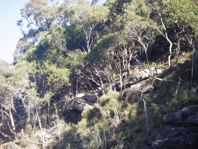 IMGP0203.JPG